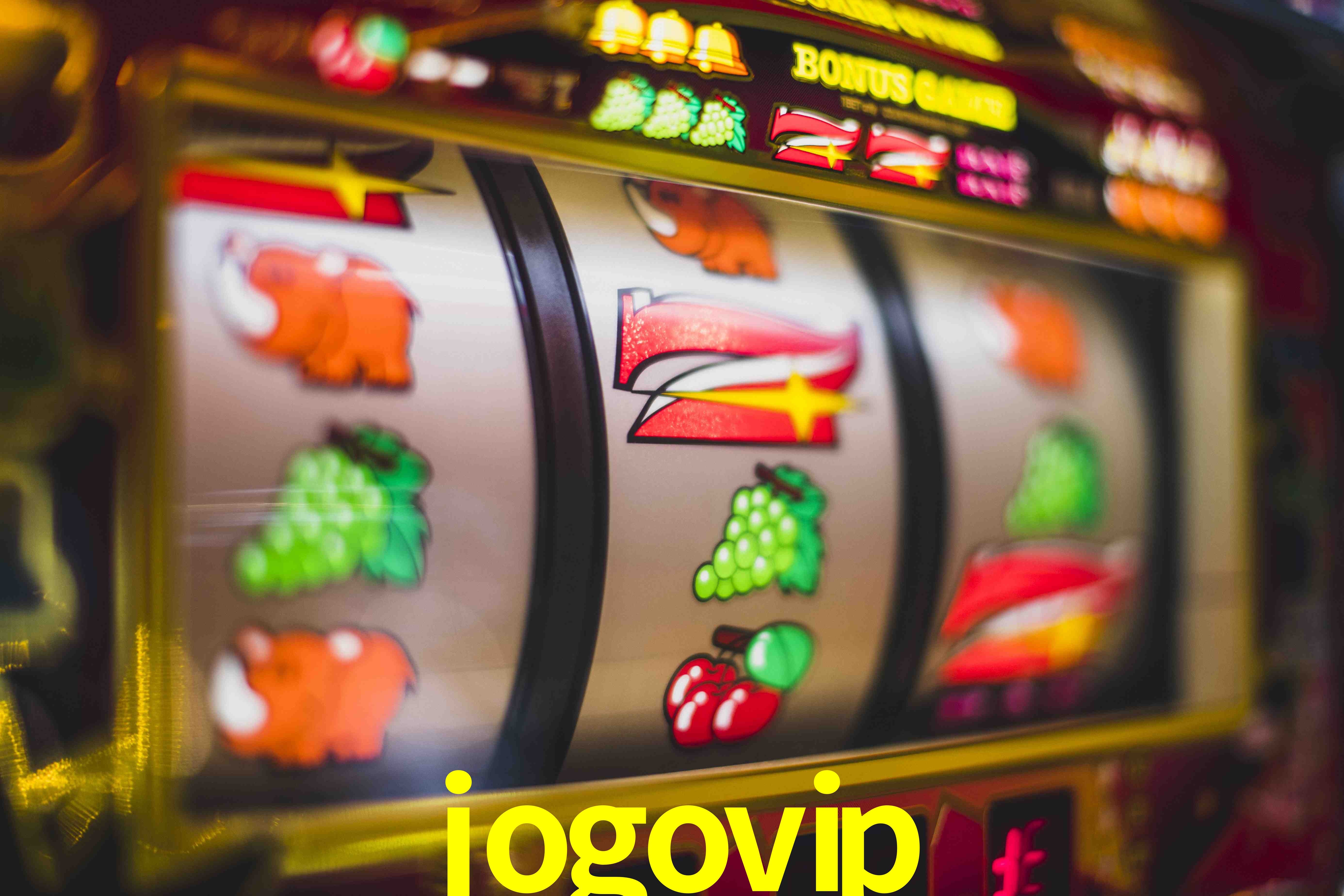 Sports Statistics jogovip